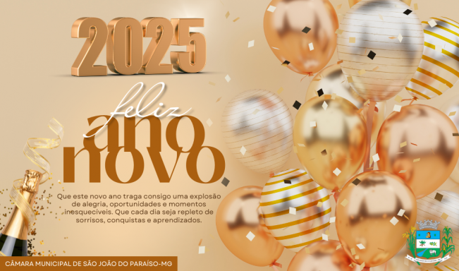 ANO NOVO.